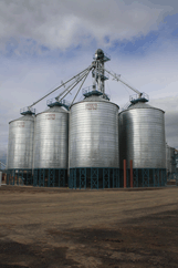 Grain Logistics